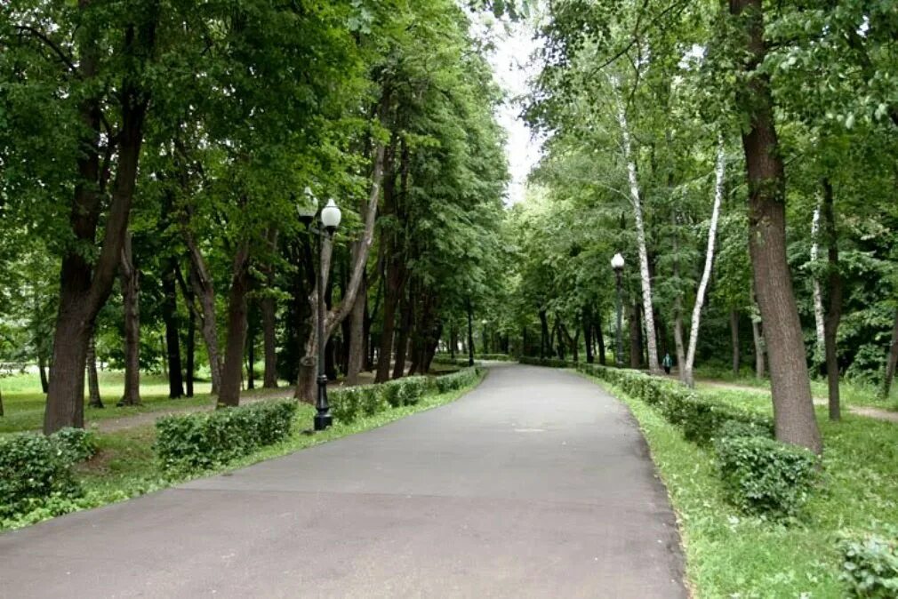 Измайлово сайт парка. Измайловский парк МСК. Лесопарк Измайлово. Москва Измайловский лесопарк аллеи. Измайловский парк ПКИО.