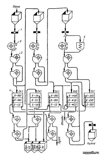 Технологическая схема производства гречневой крупы. Технология производства гречневой крупы схема. Кукурузная крупа технологическая схема. Схема переработки проса в крупу. Перечислите этапы производства круп