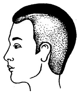 Какая голова