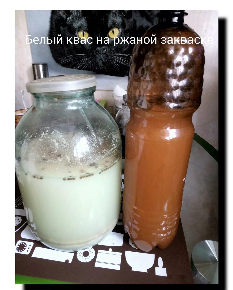 Как сделать домашний квас из муки. Домашний квас белый. домашний квас бабушкин. старинный квас. квас ржаной белый.