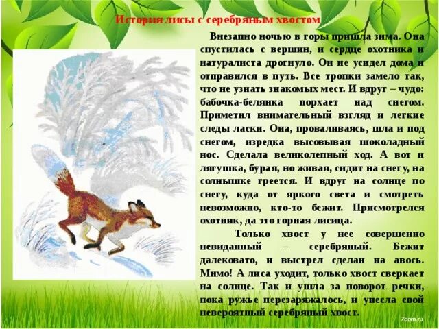 Тексты рассказов сладкова. Произведение Николая Сладкова серебряный хвост. Рассказ серебряный хвост.