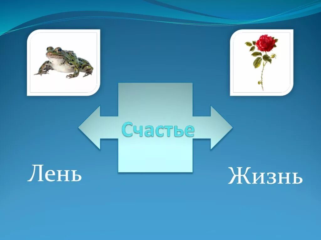 План сказки жабе и розе гаршин. Сказка о жабе и Розе. Чтение 4 класс жаба и роза. Сказка о жабе и Розе.слайды. Иллюстрации по чтению жаба и роза 4 класс.