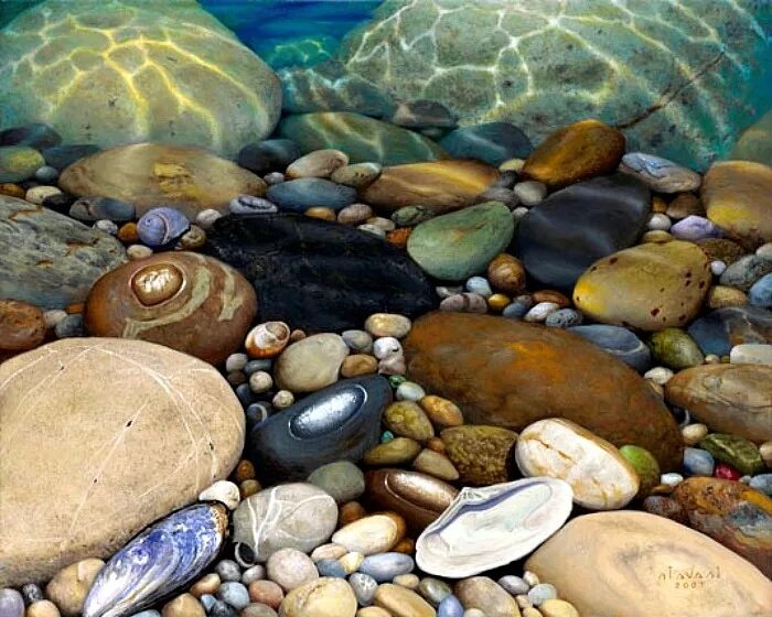 Подводные камни купить. Художник Stephen Stavast. Галька в воде. Галька и ракушки. Море галька.