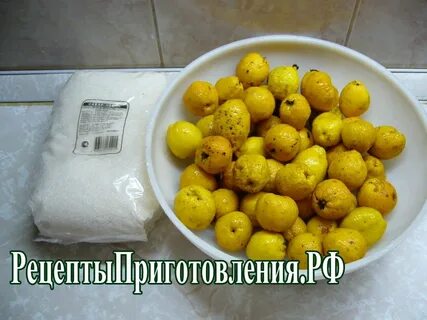 Рецепты из японской айвы самый вкусный