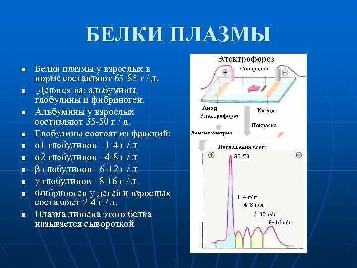 Белок плазмы норма. Электрофорез белков плазмы крови. Электрофорез белков плазмы. Электрофорез белки плащмы крови. Электрофоретическое Разделение белков плазмы крови.