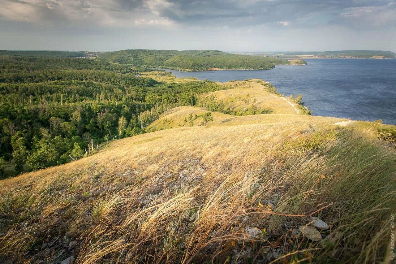 Сайт самарской луки. Жигулевский заповедник Самарской области. Суксунский заказник Самара.