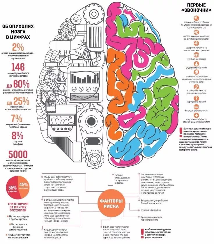 Мозг изучен на процентов. Статистика опухолей головного мозга. Мозг инфографика. Головной мозг инфографика. Мозг инфографика анатомия.