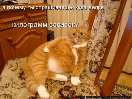 Не хотела тебя отвлекать
