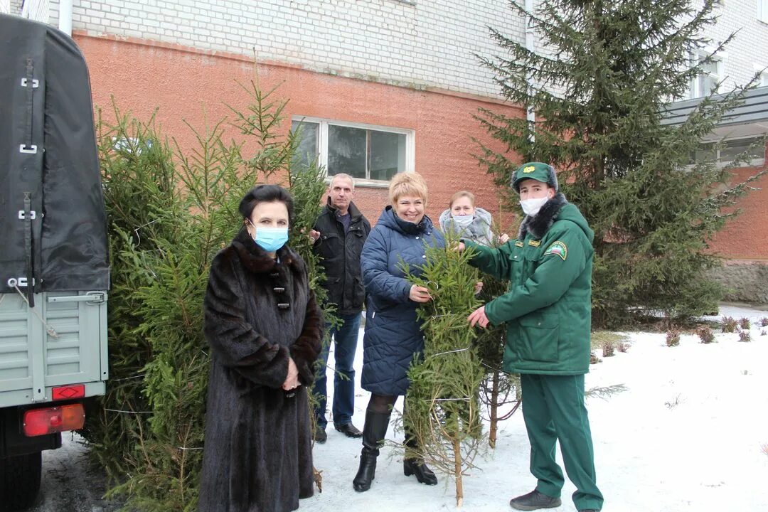 Жуковка брянской новости. Жуковский лесхоз Брянской области. Жуковское лесничество Брянской области. Елочка врача. Главный врач Жуковской ЦРБ Брянской области.