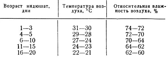 Температура в брудере для индюшат. Температурный режим для индюшат таблица. Температура содержания индюков таблица. Температура для индюшат таблица в брудере Хайбрид. Температура для индюшат таблица.