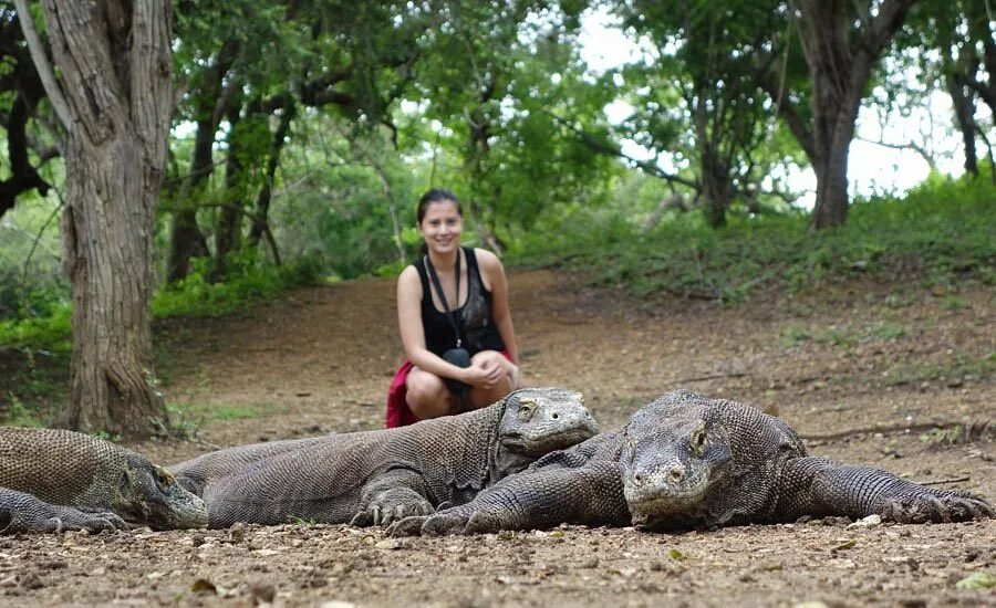 Komodo National Park by M. Watson
