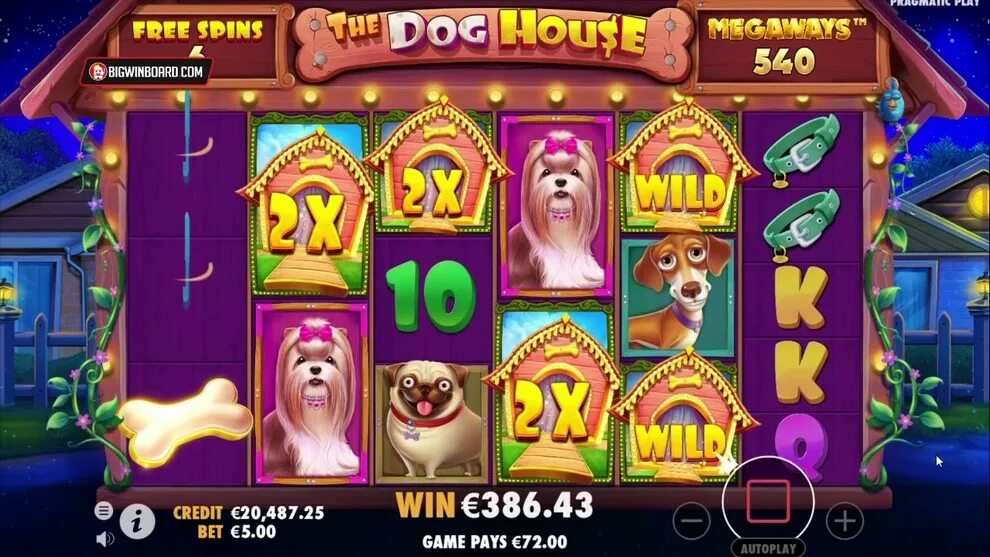 Дог хаус играть на деньги. The dog house игровой автомат. дог хаус слот. слот собаки казино. слот dog house megaways.