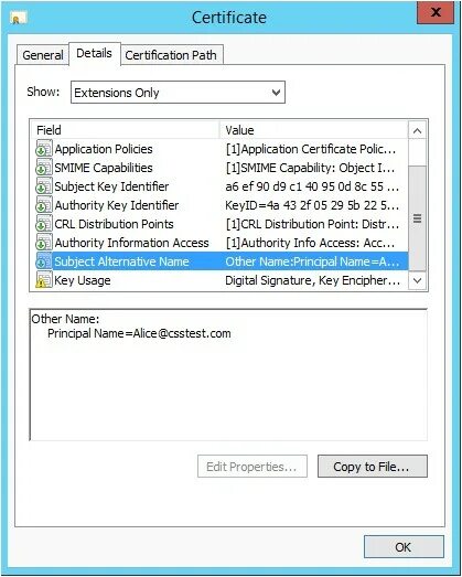 Certificate subject name. Subject alternative name в сертификате. certification details. subject alternative names (sans)..