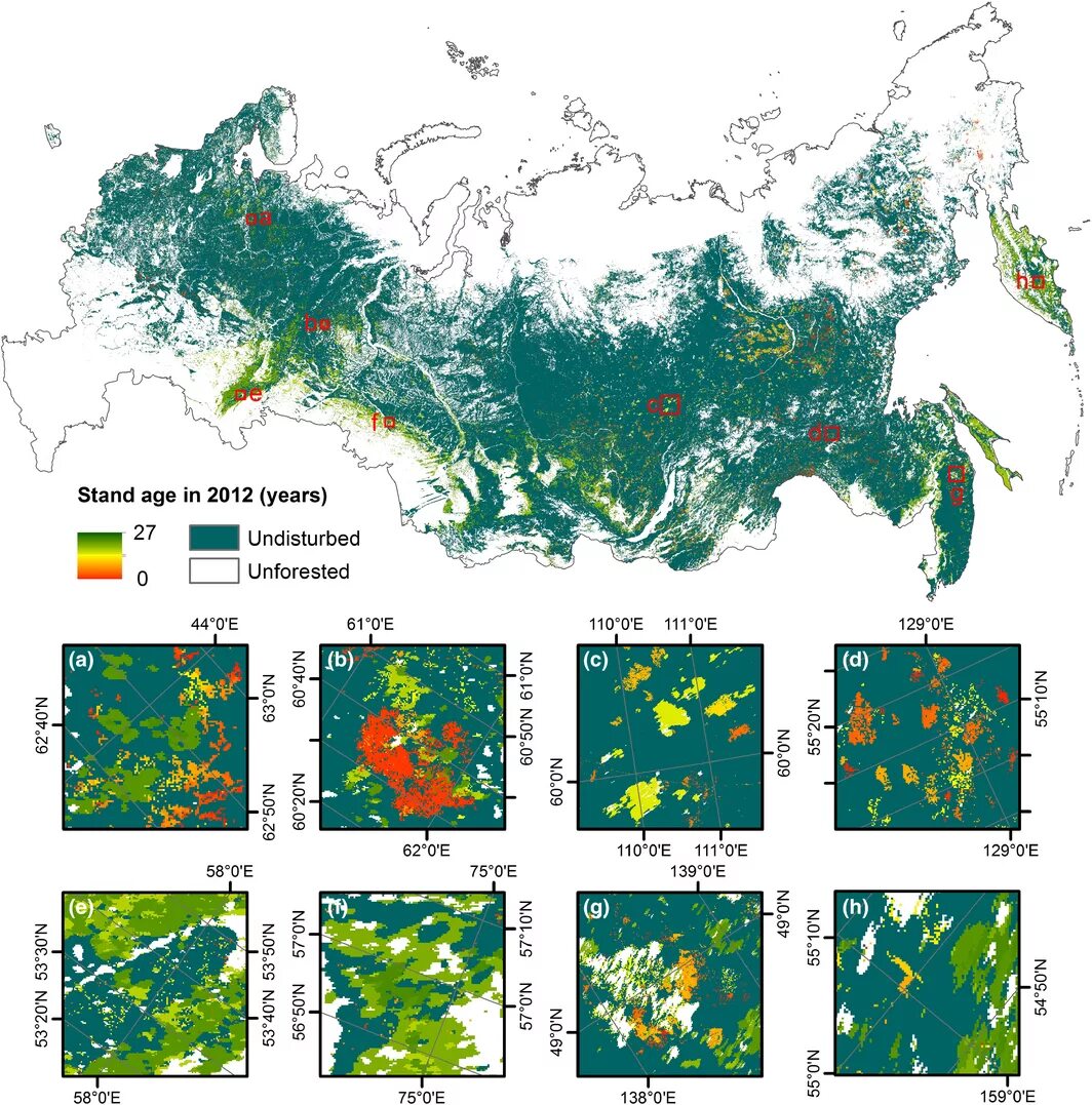 Географическая карта леса. Vegetation Russia. Graph of the Forest of Russia area. Russia is a of forests