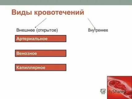Виды кровотечения тест