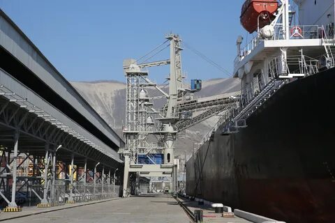 Зерно в порту новороссийска
