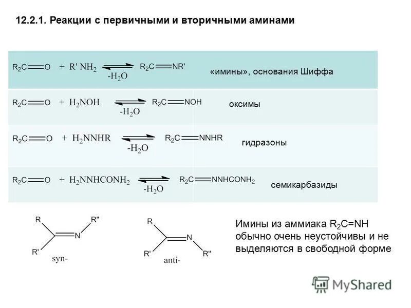 Строение вторичных аминов. Строение вторичных аминов