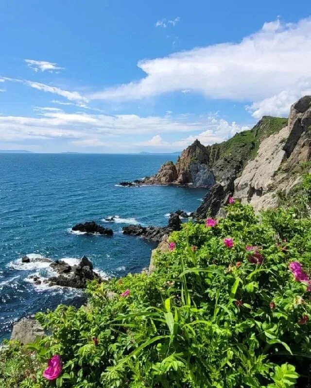 Движение приморье. Движение приморье. Движение приморье. Движение приморье. Движение приморье.