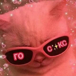 Пошло милые