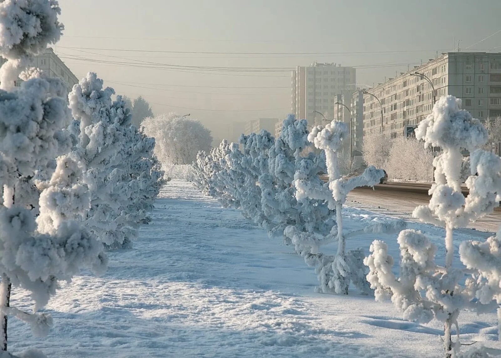 Сильный мороз в городе