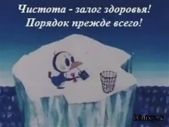 Порядок превыше всего. Чистота залог здоровья порядок прежде всего. чистота залог здоровья мультфильм. чистота залог здоровья порядок превыше всего. чистота залог здоровья пингвин.