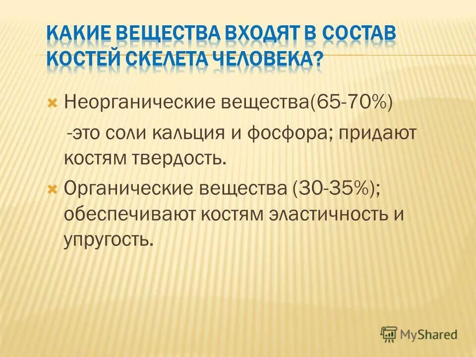 Отличия скелета человека от млекопитающего