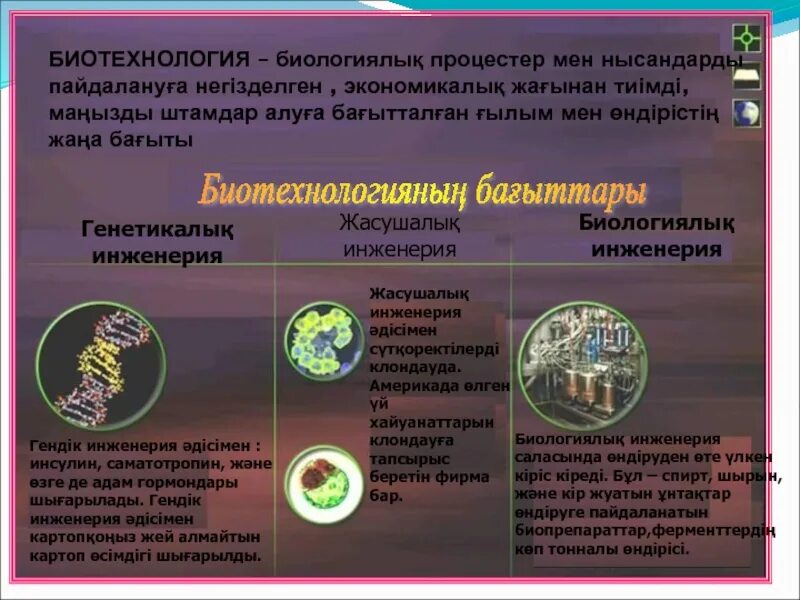 Сферы биотехнологии. Гендік инженерия. Биотехнология дегеніміз не. Какие организмы в биотехнологии. Биотехнологии на службе человечества презентация.