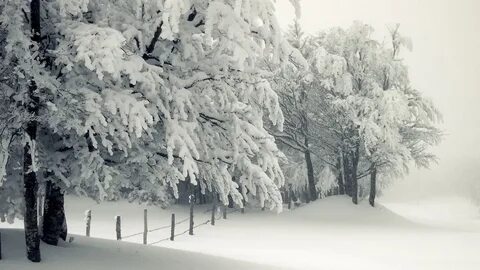 Белоснежные пейзажи