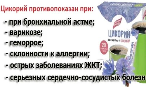 Цикорий польза и вред для здоровья. Цикорий польза для организма. Цикорий польза. Цикорий растворимый для похудения.