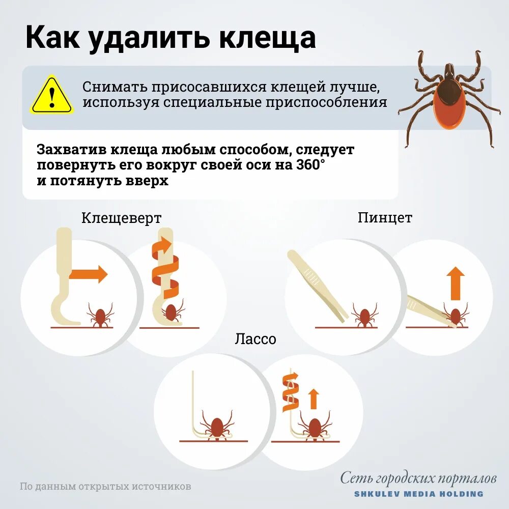 Чем обработать место после удаления клеща