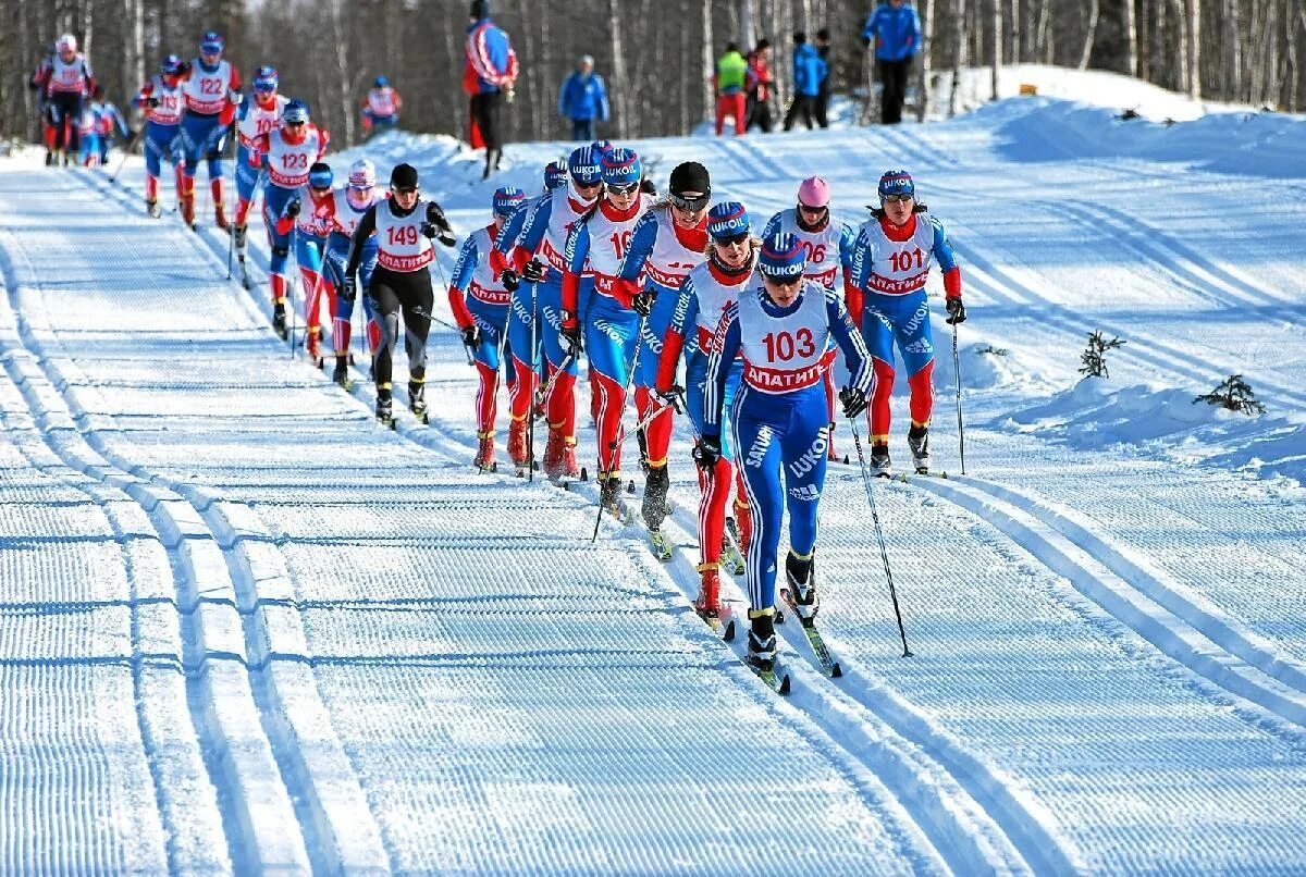 Виды гонок на лыжах