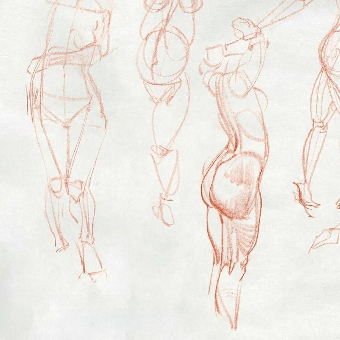 Фигура человека анатомия. Референсы женской фигуры анатомия. Тело для рисования. Набросок женского тела. Скетчи тела.