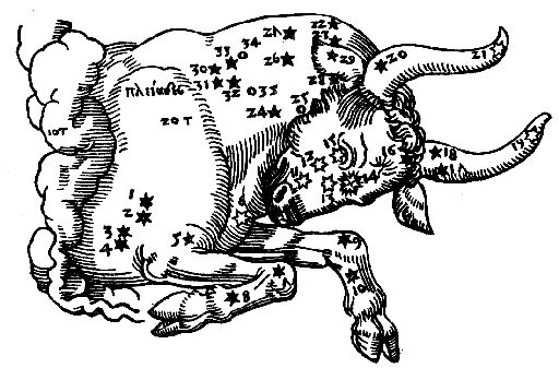 Созвездие быка. Созвездие Телец. Телец Созвездие гравюра. Созвездие тельца рисунок. Поле тельца