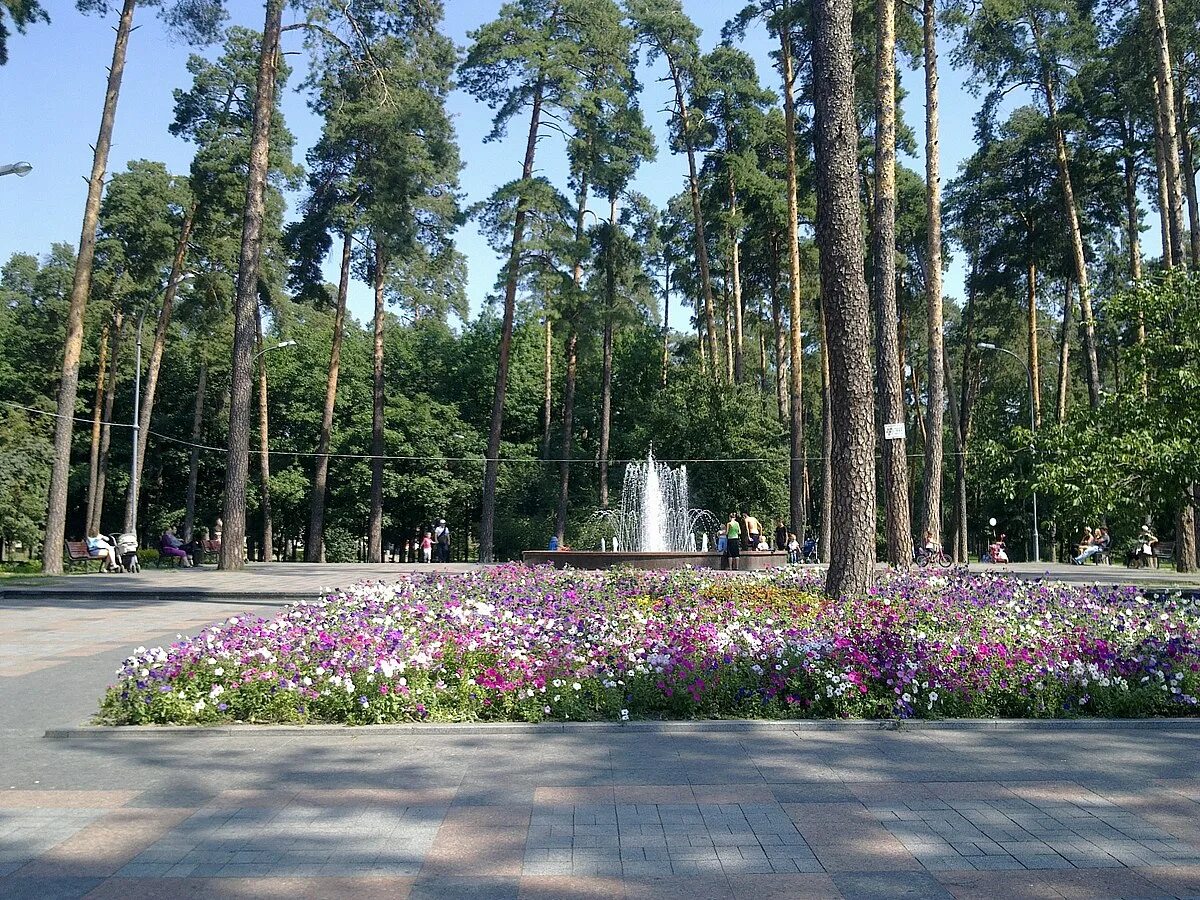 Парк в партизанском. Парк Партизанской славы Киев. Цецинский ландшафтный парк. Парк Партизанской славы Киев на карте. Киев Славгородская улица 49 парк Партизанской славы.