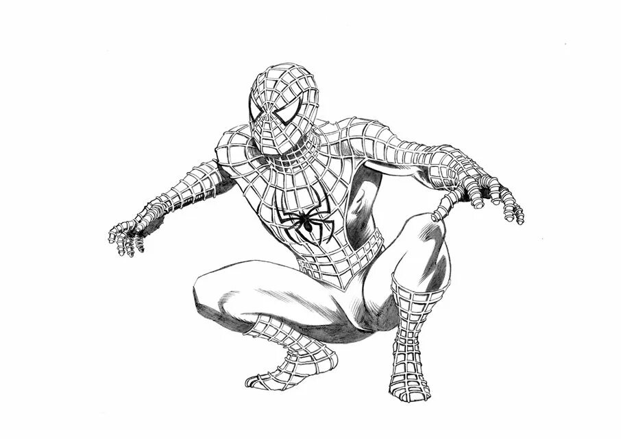 Draw spider man