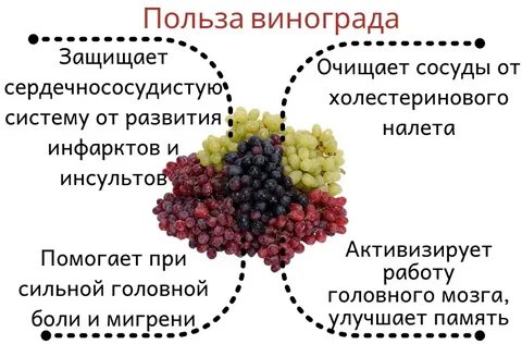 Польза кишмиша для организма черного