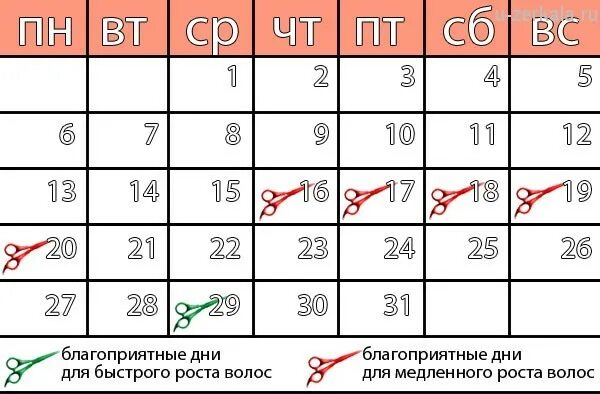 Когда подстригать волосы в апреле 2024. Дни недели для стрижки ногтей. Благоприятные дни для стрижки в августе. Календарь стрижки ногтей. Мусульманский календарь стрижки ногтей.