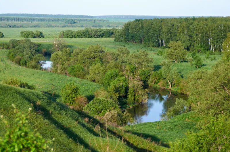 Биография орловской области. Земная поверхность Калужской области. Поселение Междуречье Орловская область. Формы земной поверхности Орловской области. Холмы Орловской области.