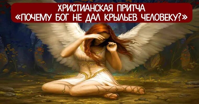 Цитаты про крылья. Бабочка с расправленными крыльями. Статус про крылья. Цитаты про крылья. Крылатые люди.