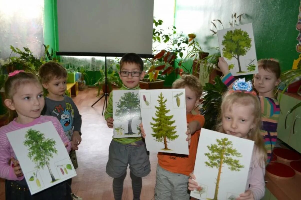 Экология 1 младшая группа. Занятие по экологии в детском саду. Экология в старшей группе. Экология занятия в старшей группе. Занятие по экологии в старшей группе.