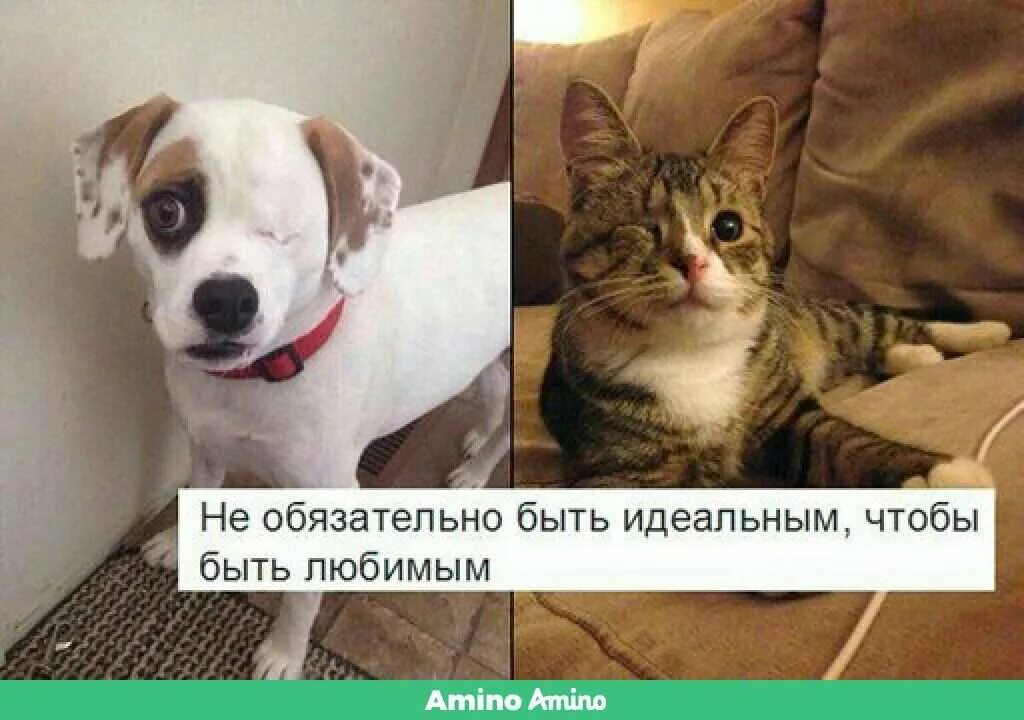 Помогая другим цитаты. Могут быть не обязательно маленькими. Человек помогает другому. Фразы про доброту к людям. Чтобы любить человека необязательно.