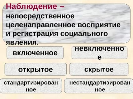 Социальные явления социология