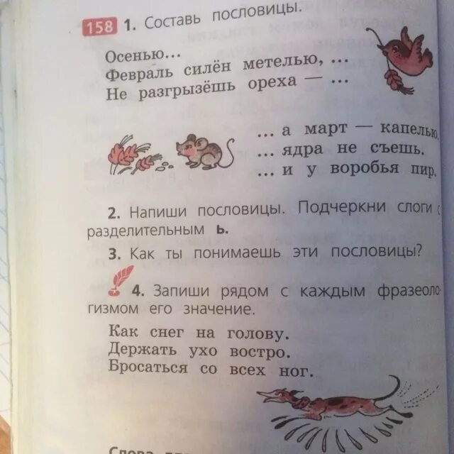 Не разгрызешь ореха пословица продолжение пословицы. Сочинить две пословицы. Февраль силен метелью пословица. Придумать 2 пословицы и написать. Составь пословицу.