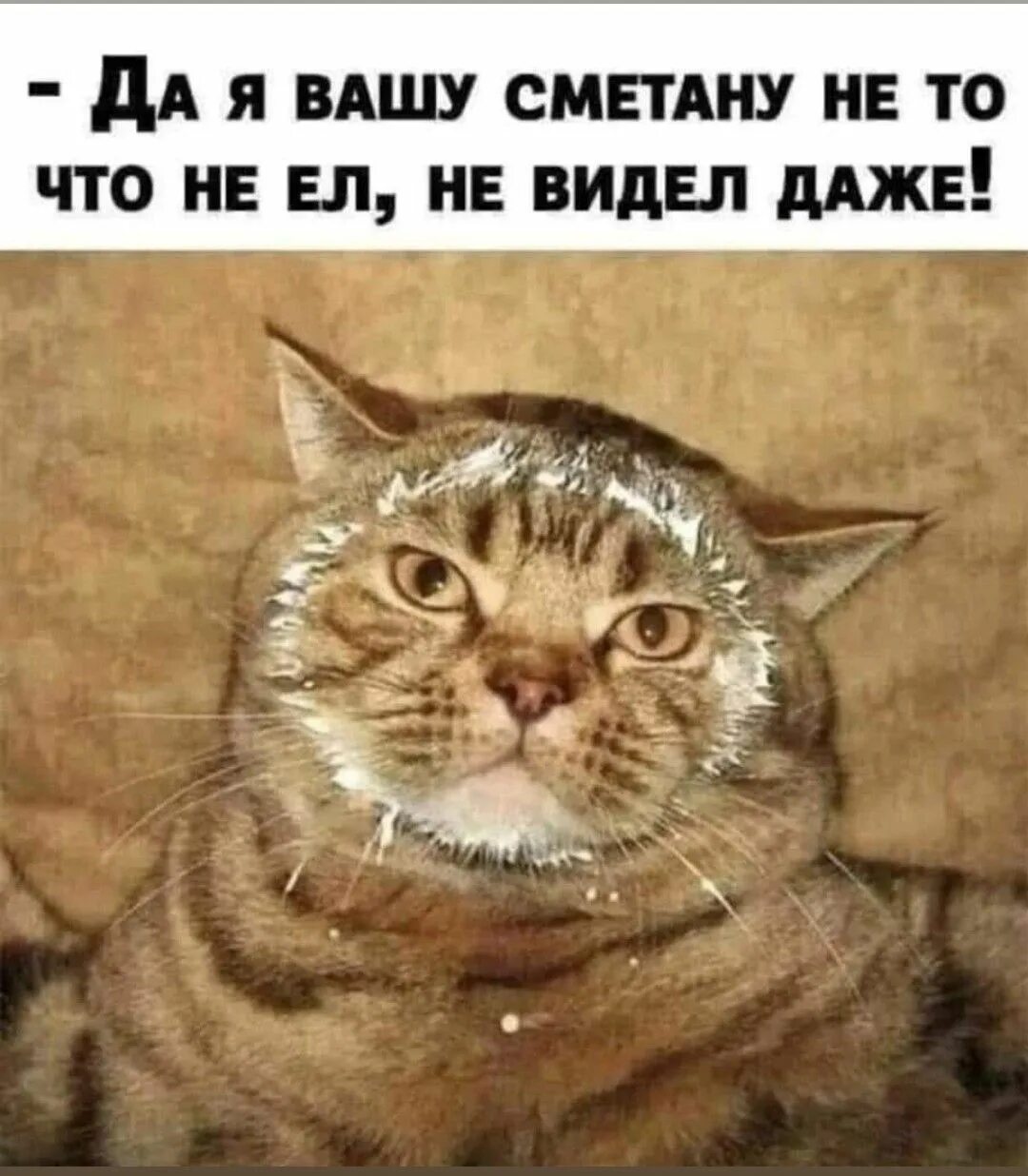Да я их не вижу