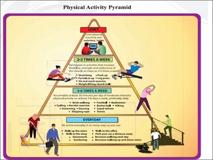 Activity Pyramid. Пирамида двигательной активности человека. Physical activity. Пирамида двигательной активности для детей.