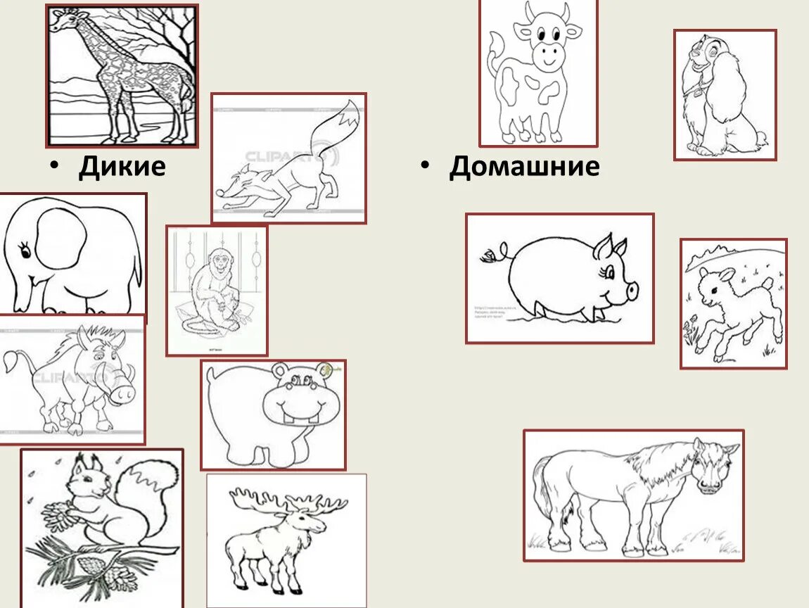 Животные для детей 1 класса. Дикие и домашние животные раскраска. Дикие и домашние животные задания. Домашние животные. Дикие животные. Дикие животные задания 1 класс.