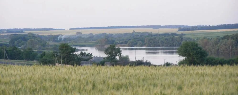 Красное село питер. Красное село ленинградская область. Ул восстановления красное село. Восстановления 14 красное село. Красное село харьковская.