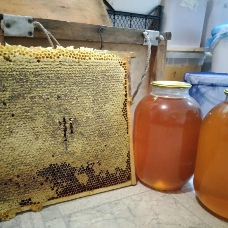 Мед подсолнух. Мед подсолнечный банка 3л. Мёд подсолнечный разнотравие. Мед из подсолнуха.