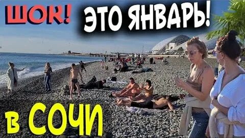 Погода в адлере на январь 2024
