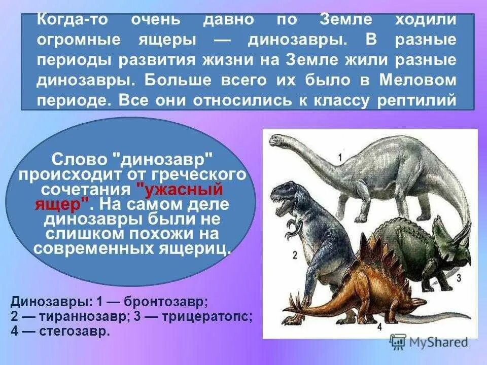 Жизнь динозавров на планеты земля. Периоды жизни динозавров на земле. происхождение динозавров на земле. возникновение динозавров на земле. динозавры жили на земле.